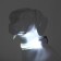 Collar with backlighting double strip size l, Osh 45-52 x 2.5 cm, 3 glow modes white