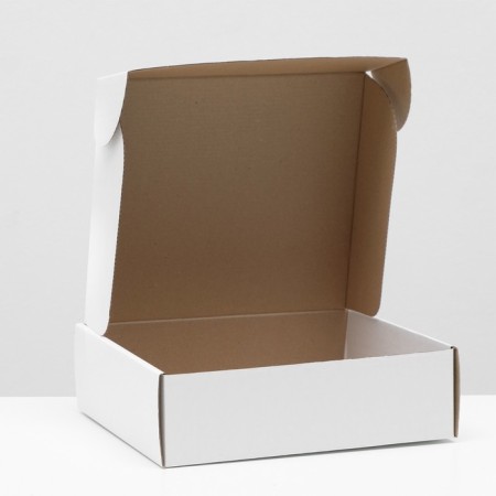 Self -charged box, white, 27 x 24 x 8 cm-1