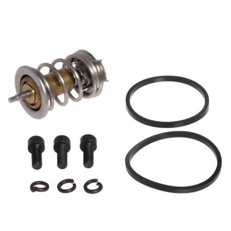 Thermostat (thermal element) Priora-Kalina 21082-1306030, Luzar LT 01183