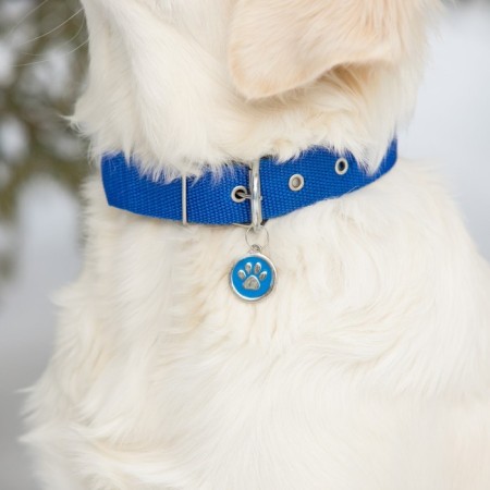 Address for engraving "paw", 2.5 cm, blue-4