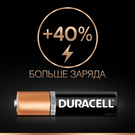 Alkalin battery Duracell Basic, AAA, LR03-2BL, 1.5V, blister, 2 pcs.-2