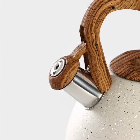 A kettle with a stainless steel whistle Magistro Stone, 2.7 L, Soft-Touch pen, induction, beige color-2