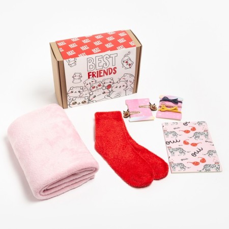 Gift set "Best Friend", 85x100 cm plaid and accessories-1