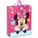 Laminated vertic package, 31x40x1.5 cm, Minnie, transformers, cat Marie, emergency mix