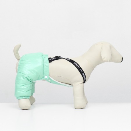 Complex-stroke for dogs, size S (ds 31, from 34 cm), mint-1