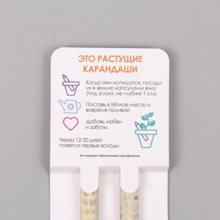 Growing gift pencils Mini "Lion Zev + Clove" set 2 pcs.-2