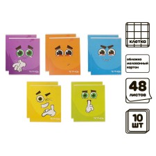 A set of notebooks of 10 pieces (5 types of 2 pieces), 48 sheets in the Calligrata 