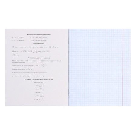A set of subject notebooks 12 objects of 48 Kawaiii sheets, cover coated cardboard, Soft-Touch lamination, selective varnish, offset block-2