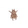 3D puzzle made of wood "Woodik Beetle"