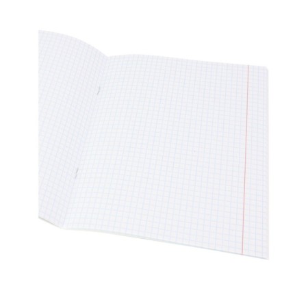A notebook 48 sheets in the anime cage "Informatics", the cover coated cardboard, embossing with cold foil, lamination of Soft-Touch, block offset-1