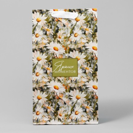 Gift package for two bottles, packaging, “bright moments”, 35 x 20 x 9 cm-4