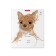 Notebook 24 sheets in the Erichkrause "Druzhok" line, covered cardboard, an offset unit, whiteness is 100% whiteness, mix
