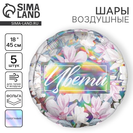 Foil balloon 18 "Blowers", for a girl, a circle, a holography, a set of 5 pcs.