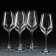 Set of glass glasses for the wine "Selest", 350 ml, 6 pcs