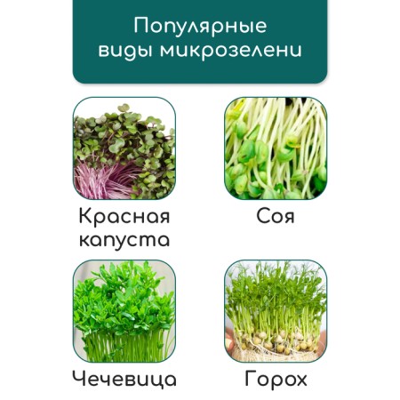 Jueta rug for growing microsenens, 10 × 15 cm, thickness 1 cm, set 5 pcs.-12