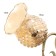 Bra "Frezi" E27 40W gold 28x15x28 cm
