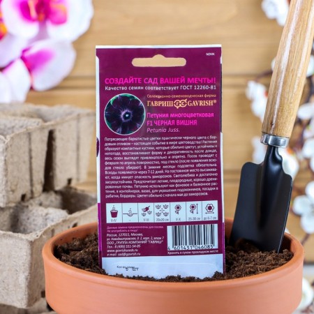 Petunia Fronts "Black Cherry" F1 multi -flowered, oh granules, test tube 4 pcs.-1