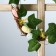 Wreath on the door interior "Easter testicles with leaves" d = 18 cm