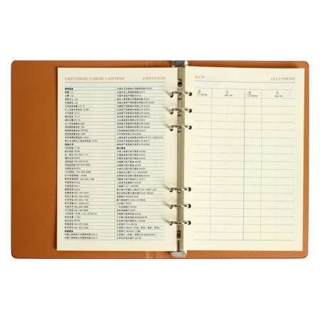 Organizer on the rings "Prestige" A5, 92 sheets in the ruler, leatherette cover, mix-5