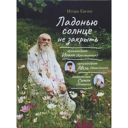 Ладонью солнце не закрыть. Евсин И.