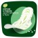 Female Hygienic gaskets "Naturella" Night Single, 7pcs/UD