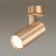 CORSE 50W lamp GU10, black, gold