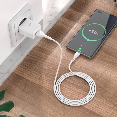 Network charger Hoco N9, USB - 2.1 A, Type -C 1 m cable, white-9