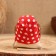 Brownie amulet with dollars, be healthy, 10 cm, mix