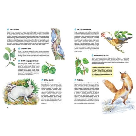 Nature of Russia. Illustrated Encyclopedia. Svechnikov V., Romanova T.-6