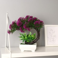 Bonsai in the Pot 