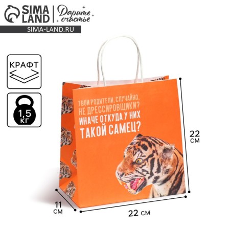 Gift package, packaging, "male", 22 x 22 x 11 cm