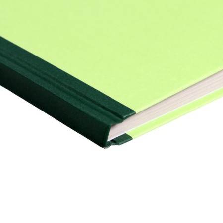 Book of accounting, 96 sheets, cardboard cover 7B, newspaper block, line, green color (imitation)-2