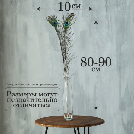 Перо павлина для декора, размер — от 80 до 90 см-1