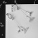 Clips "Feeling" whale tail, white color in silver