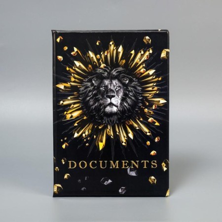 DOCS document folder, 8 A4 files-4