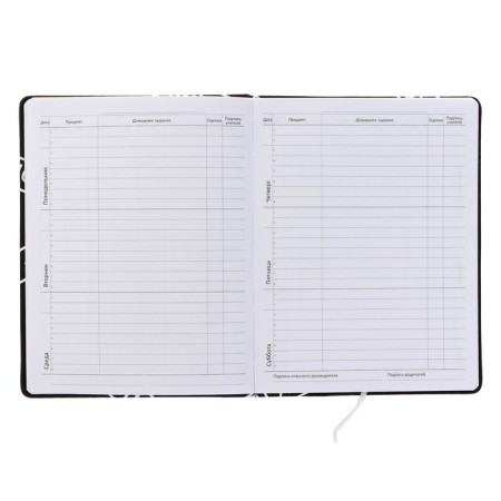 Universal diary for grade 1-11 "All Norms", hard cover, artificial leather, foam rubber, lies, 80 g/m2-4