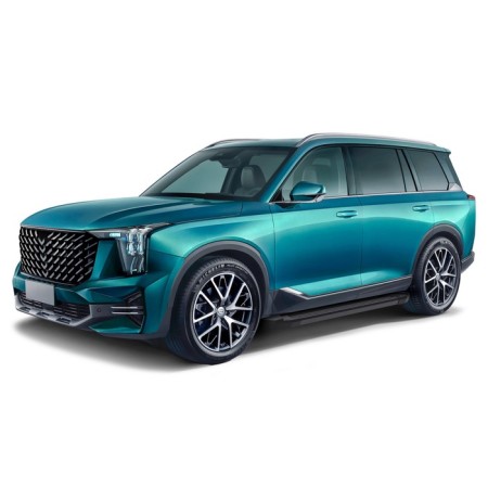 The thresholds "Black" Rival for GAC GS8 II 2023-N.V.-1