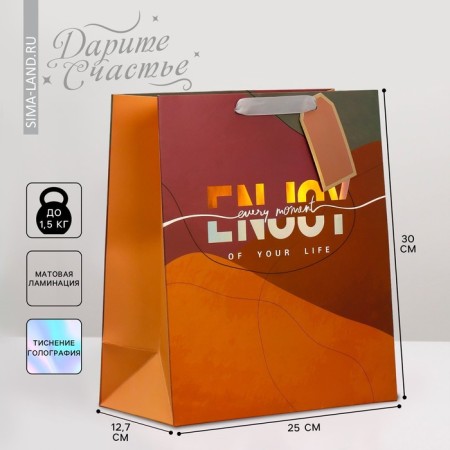 Gift package laminated, packaging, "Happiness", 25.4 x 30.5 x 12.7 cm