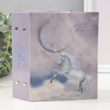 Photo album for 100 photos 