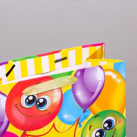 Gift laminated vertical, packaging, “Fun birthday!”, Ml 23 x 27 x 11.5 cm-2