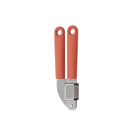 Brabantia Tasty+ garlic press