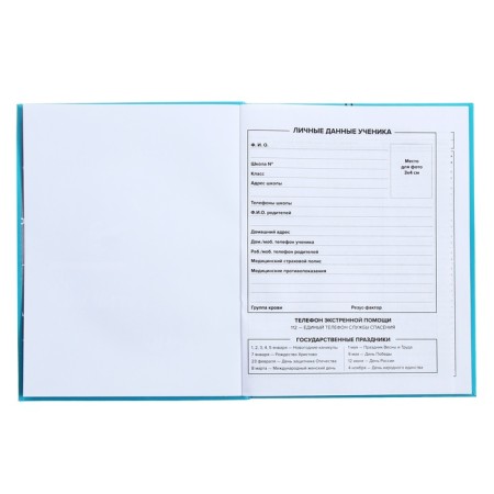 Universal Diary Grade 1-11, 48 sheets "Blue Headphones", integral cover, matte lamination, selective UV-clock-5