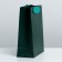 Gift Package Laminated, Packaging, Emerald, S 12 x 15 x 5.5 cm