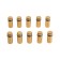 Remote holder for plates, 12x25 mm, color gold, set 10 pcs.