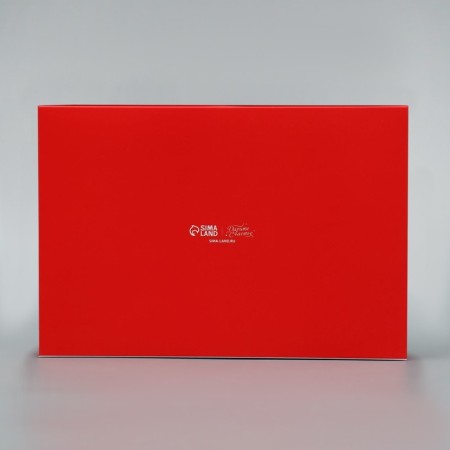 Box for cupcakes is folding with bilateral application "Happy New Year", 25 x 17 x 10 cm, new year-6