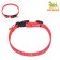 Nylon “Star Bones” collar, 36 x 1.5 cm, red