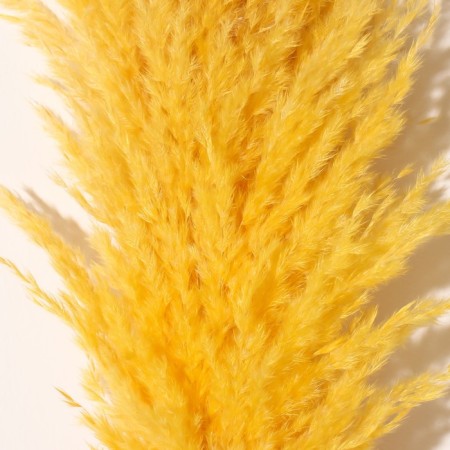 Sukhotzet "Cortery", 1 branch, length 140-150 cm, yellow-1