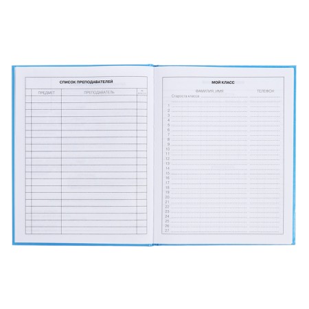 Diary for grades 5-11, 48 sheets of Kapibar Kapibarov, hard cover, glossy lamination, block 60 g/m2-5
