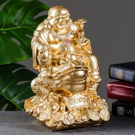 Piggy bank "Hothey on the frog" average, 25x17x19cm