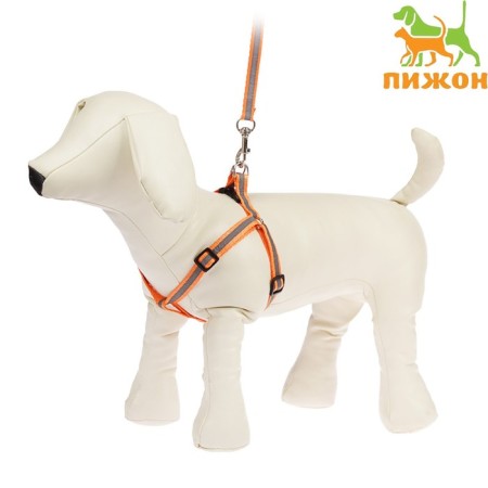 A set with a reflective ribbon, a collar of 120 x 1 cm, fire 26-40 cm, orange